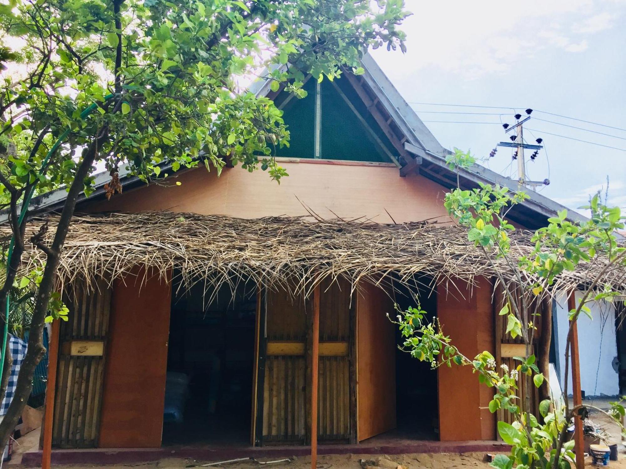 Lemon Tree Hostel 阿鲁甘湾 外观 照片